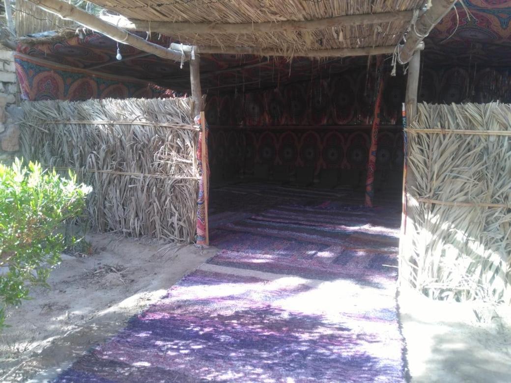 Siwa Paradise Siwa Oasis Zewnętrze zdjęcie