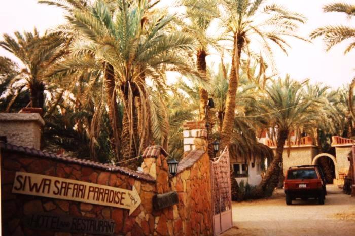 Siwa Paradise Siwa Oasis Zewnętrze zdjęcie
