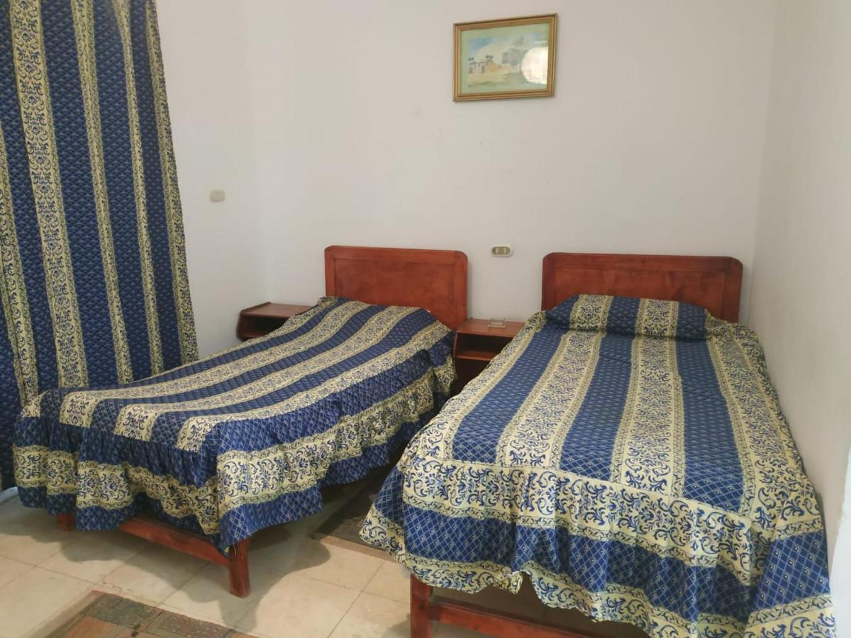 Siwa Paradise Siwa Oasis Zewnętrze zdjęcie