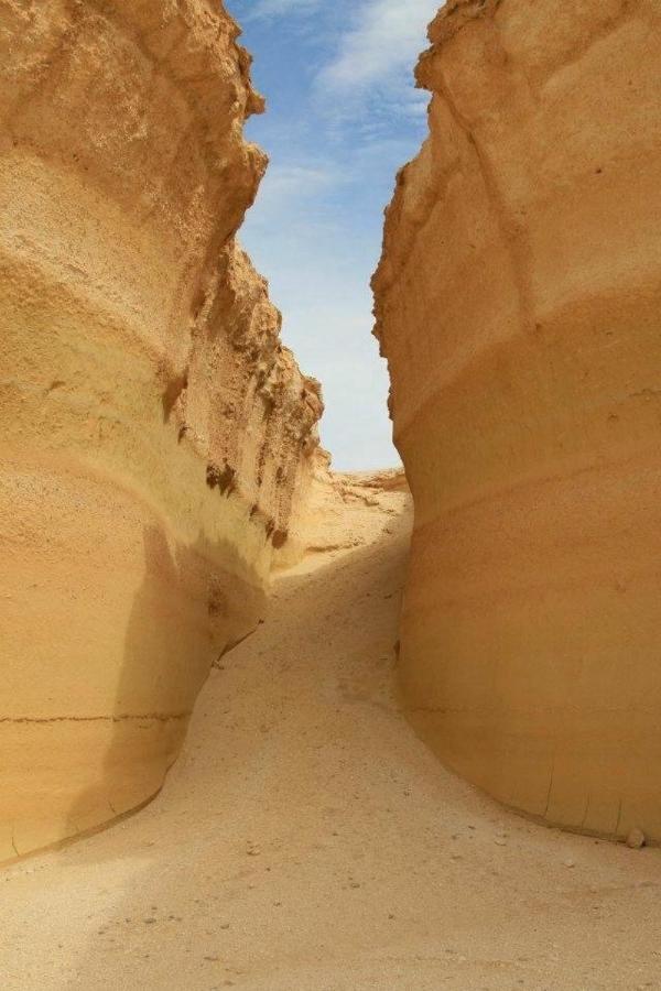 Siwa Paradise Siwa Oasis Zewnętrze zdjęcie